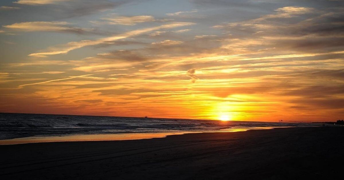 FTA-Media-MollyFrank-5