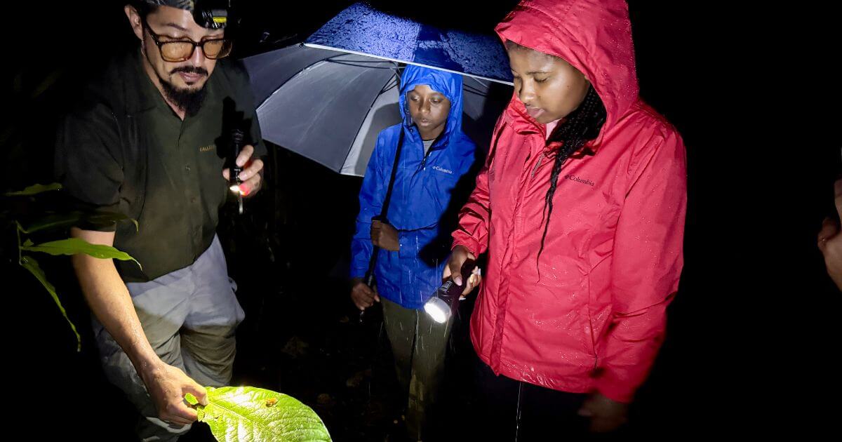 FTA-MEDIA-KyAnn Lewis-Come Along on a Night Walk in Costa Rica