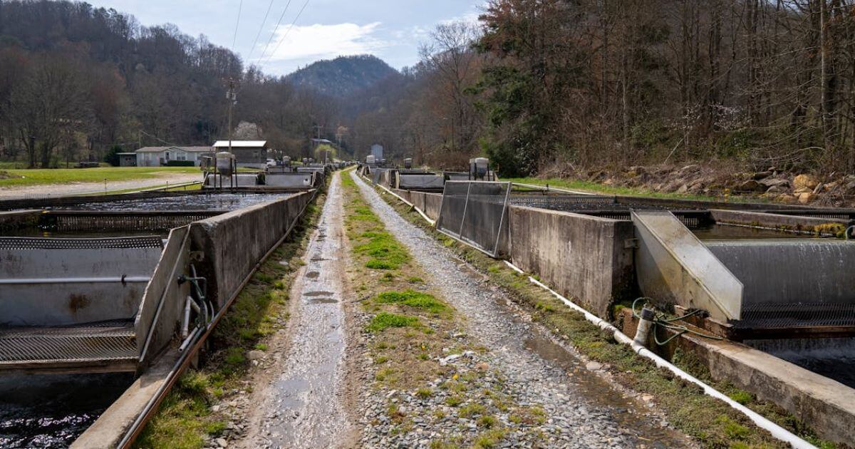 FTA-MediaByline-How Family Vacations Change When Nothing Is Rushed