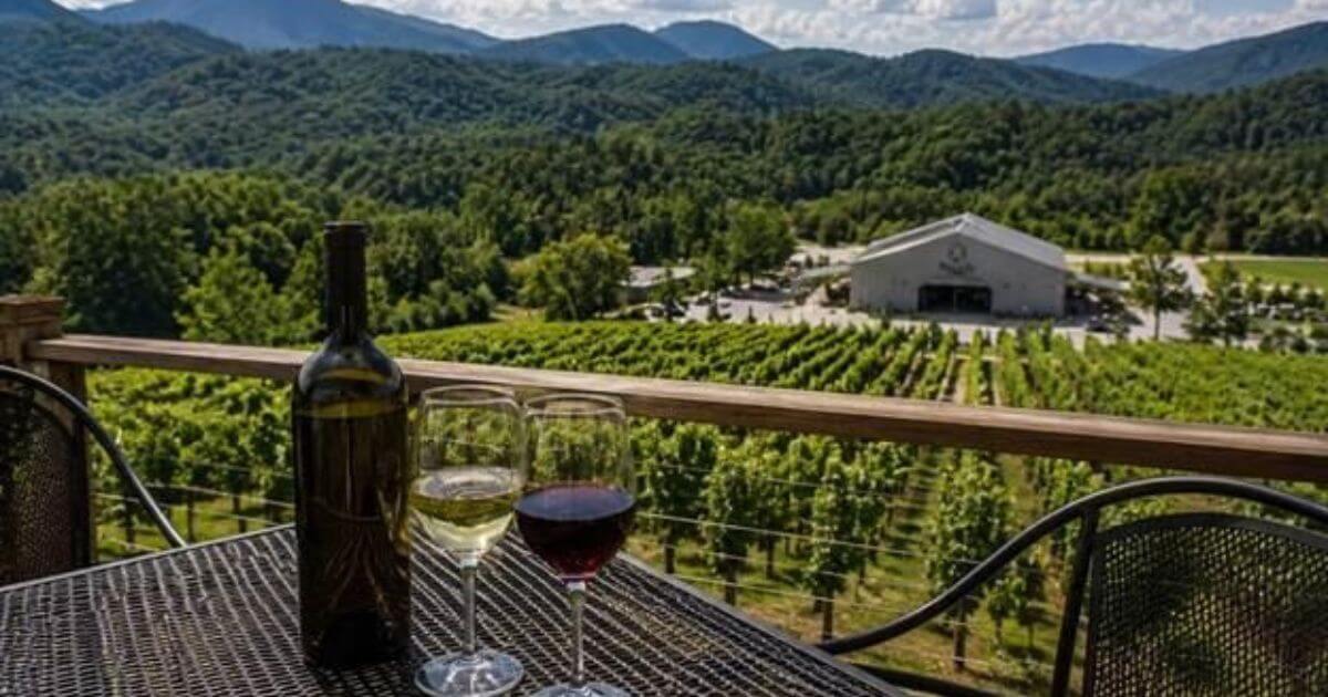 FTA-Media-The Growing Appeal of Culinary Tourism in Mountain Destinations-MOLLY