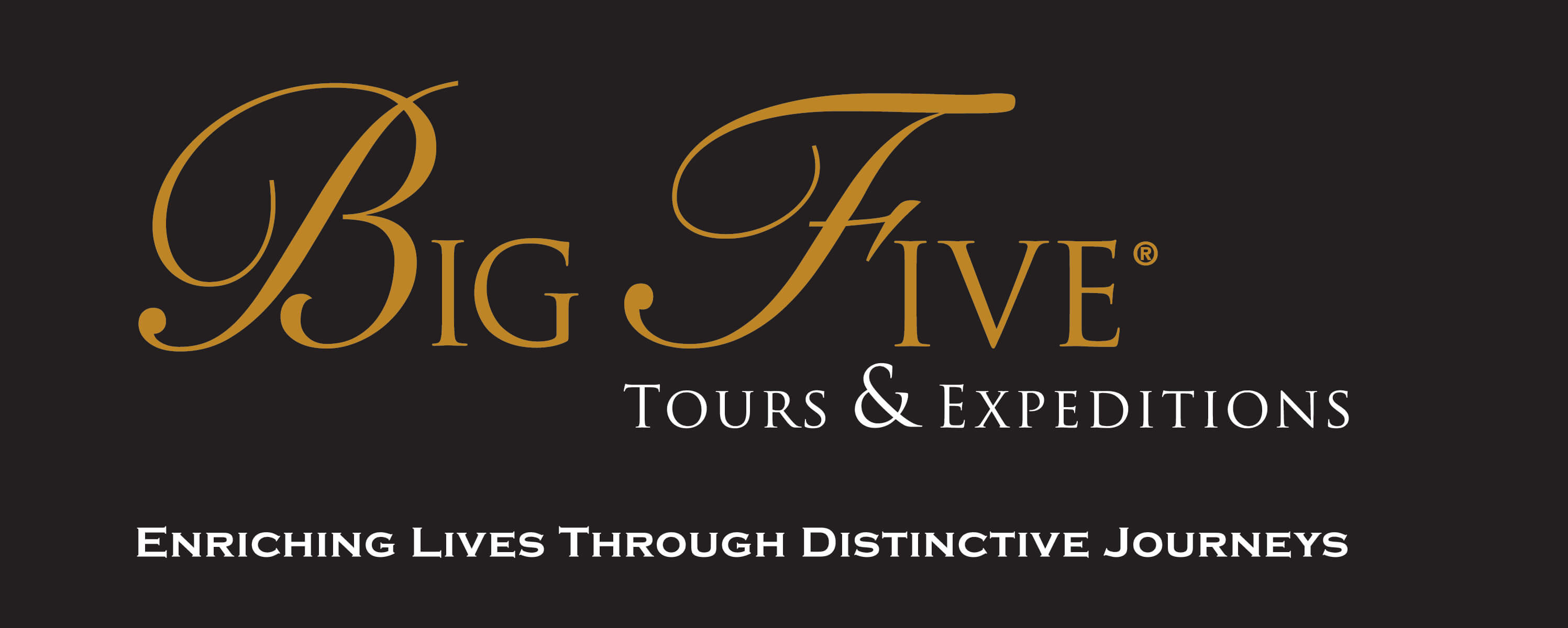 Big Five logo black copy