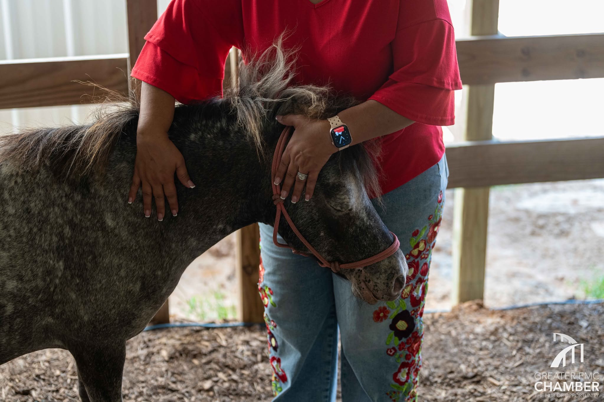 07_MiniHorse The peaceful surroundings at Henry's Home provide a place of healing for both people and horses.