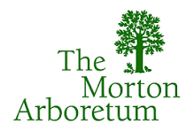 Morton Arboretum
