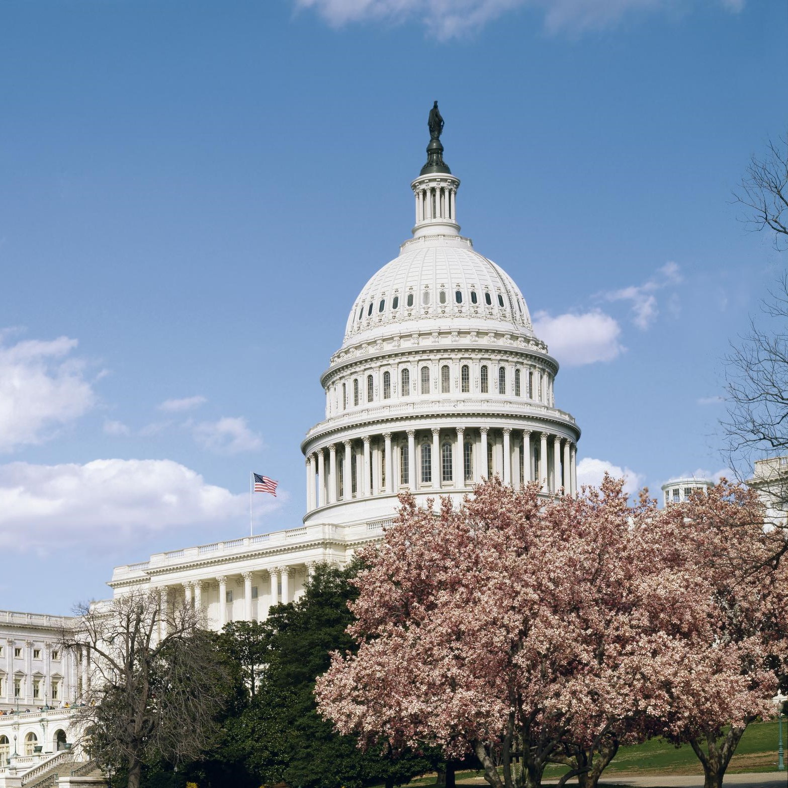 iiif-service_pnp_highsm_12500_12576-full-pct_50-0-default