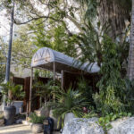 AVA MediterrAegean-2026_02_18-1438-social