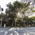 AVA MediterrAegean-2026_02_18-1440-social