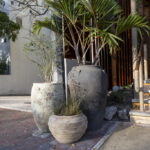 AVA MediterrAegean-2026_02_18-1443-social