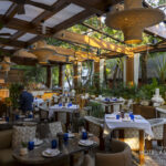 AVA MediterrAegean-2026_02_18-1449-social