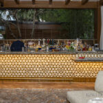 AVA MediterrAegean-2026_02_18-1492-social