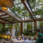 AVA MediterrAegean-2026_02_18-1501-social