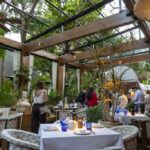 AVA MediterrAegean-2026_02_18-1502-social