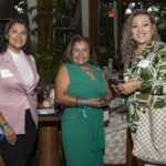 AVA MediterrAegean-2026_02_18-1515-social