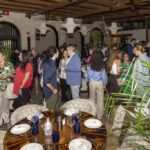 AVA MediterrAegean-2026_02_18-1590-social