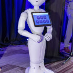 Courtyard-Robots-2026_04_09-3997-social