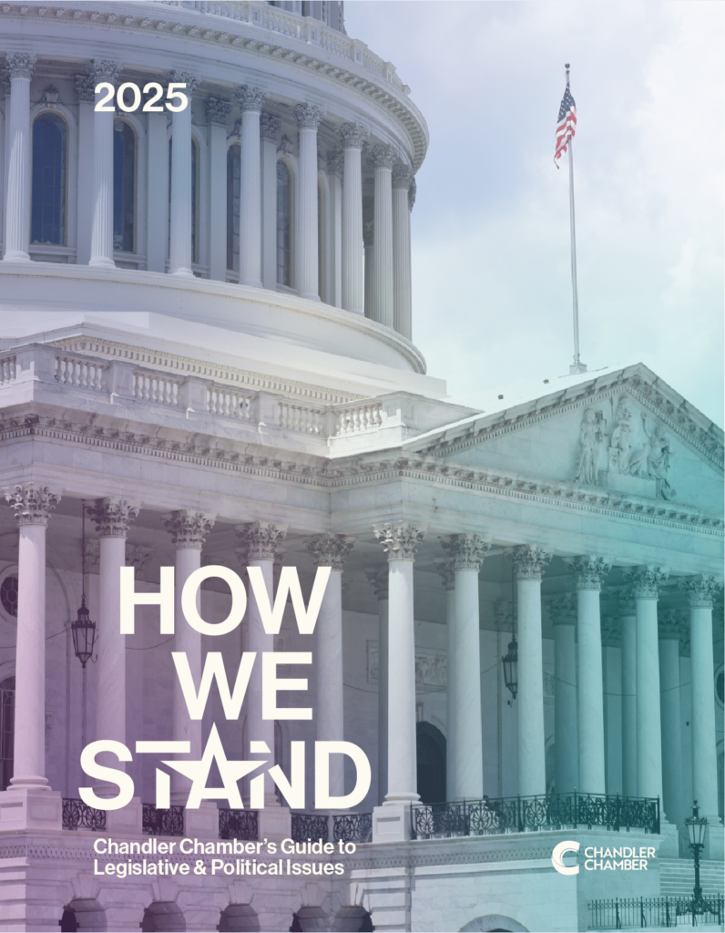 How We Stand 2025 Cover