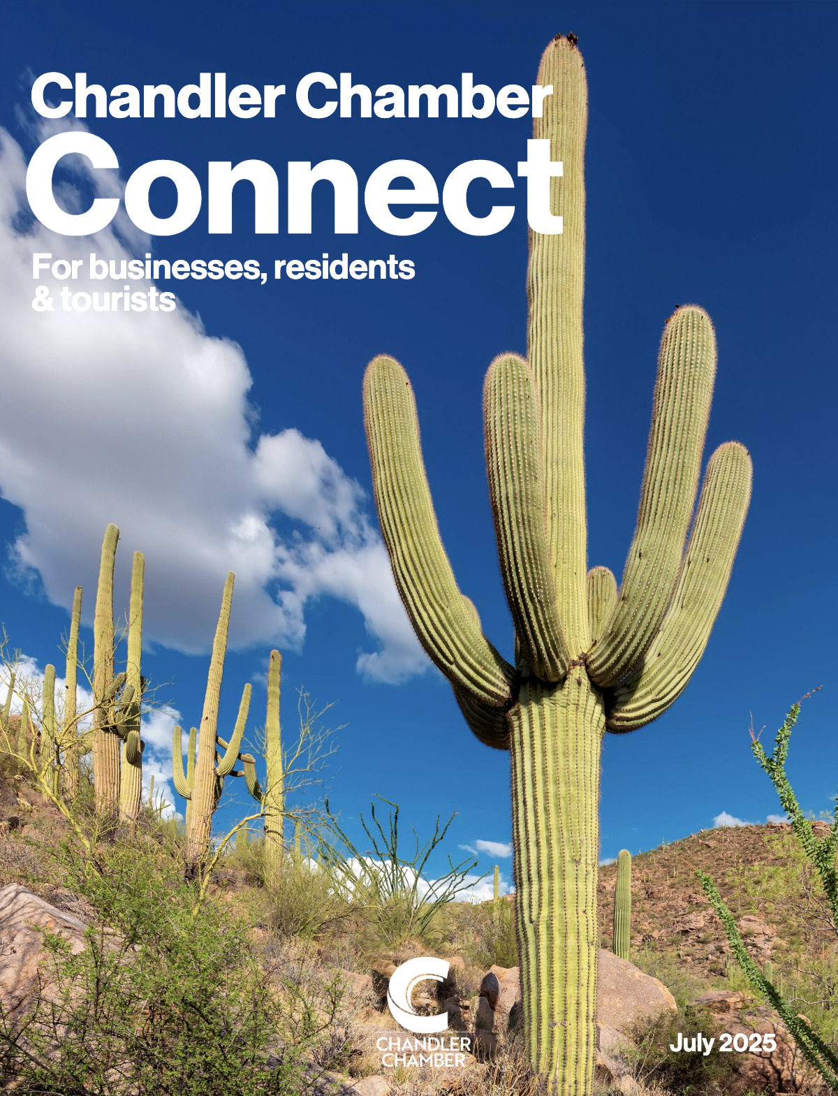 Screenshot 2025-12-16 at 5.46.10 PM