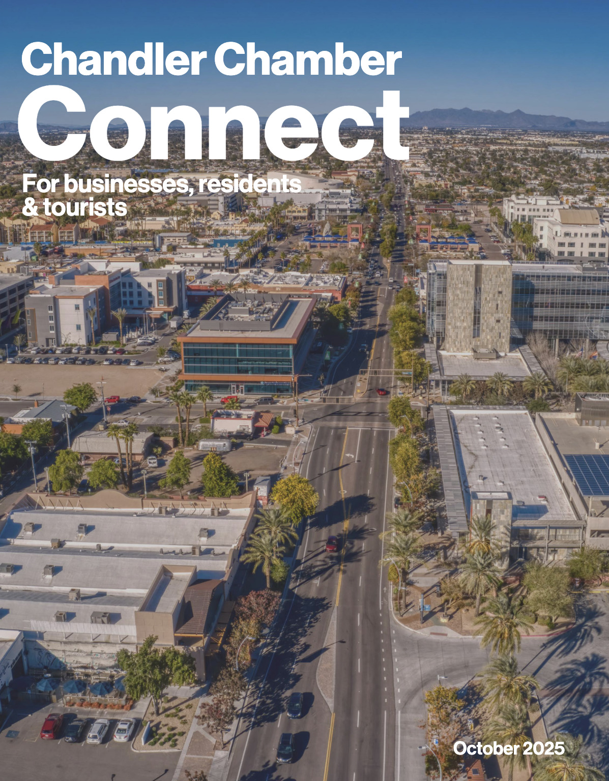 Screenshot 2025-12-16 at 5.49.29 PM