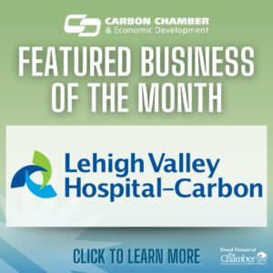 Featured Business of the Month - LVH-Carbon