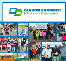 Collage of chamber members