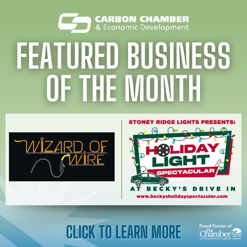 Featured Business of the Month - Wizard of Wire