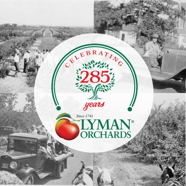 Lyman_Orchards
