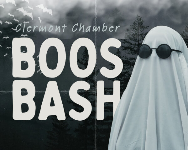 Home_BoosBash