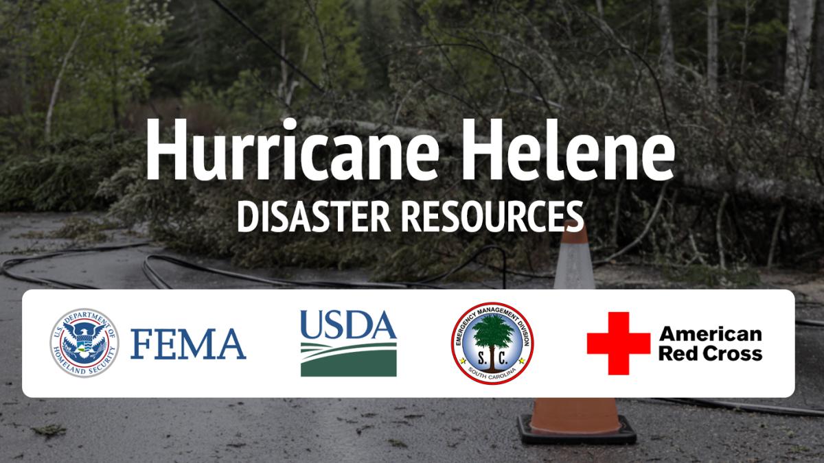 Hurricane Helene Disaster Resources