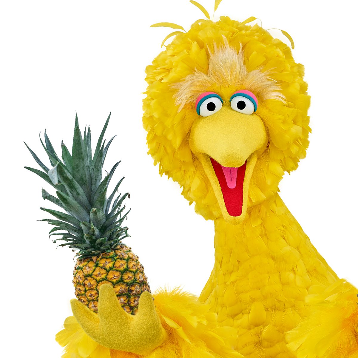 Big Bird Sunrise Smoothie Big Bird Sunrise Smoothie