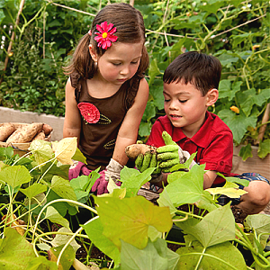 school-gardening-spotlight