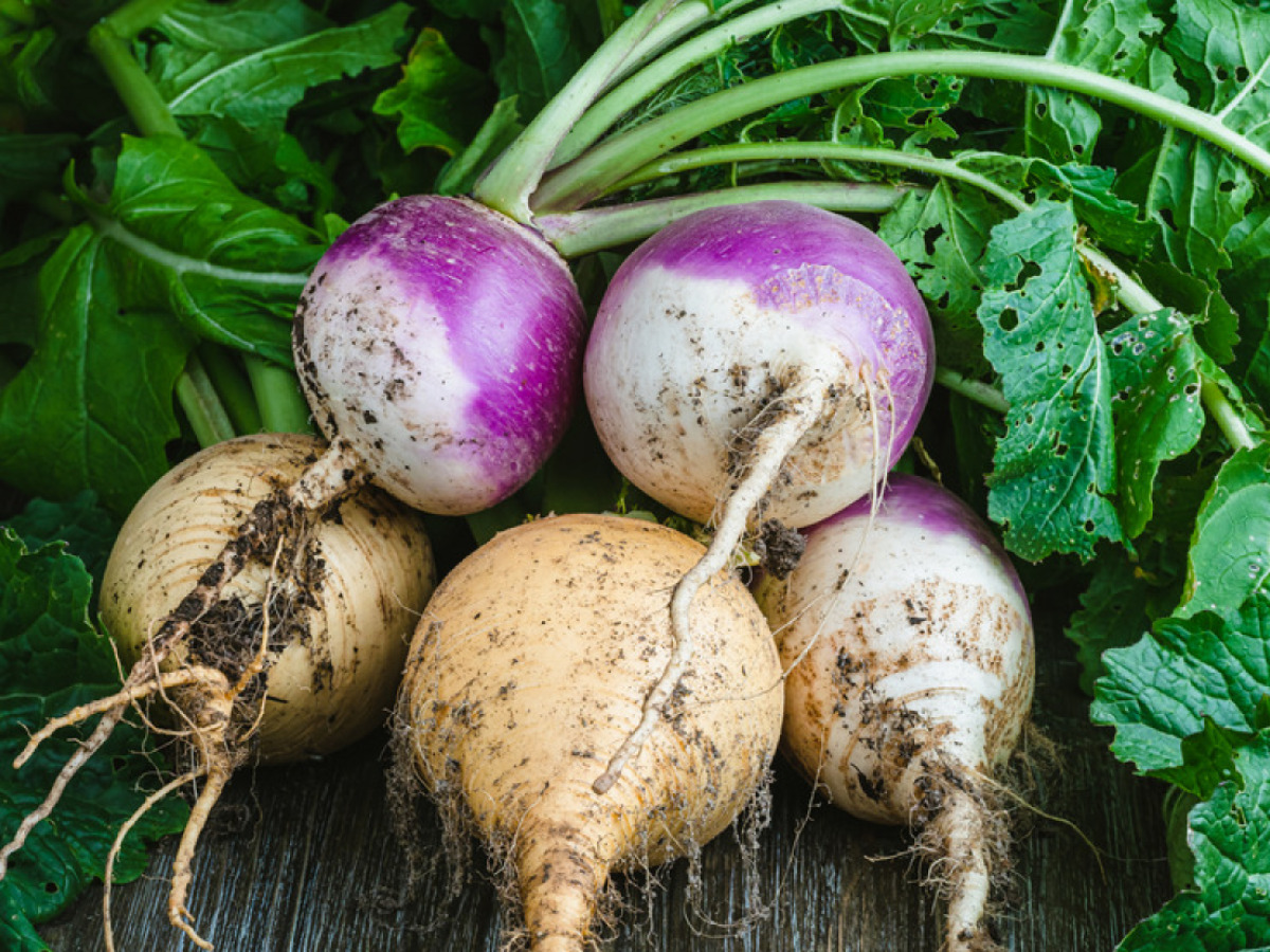 Substituting Vegetables for Grains in Tribal Communities & Hawaii ...