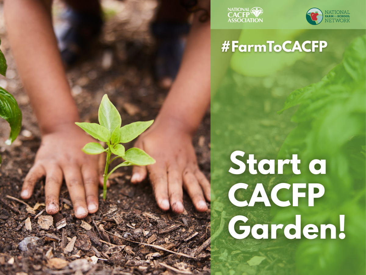 Tip #7 cacfp.org (1) Tip #7 cacfp.org (1)