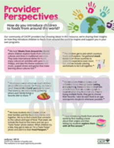 Provider Perspective New Foods PNG cacfp.org