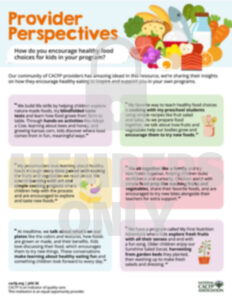 Provider PerspectiveHealthy Choices PNG cacfp.org