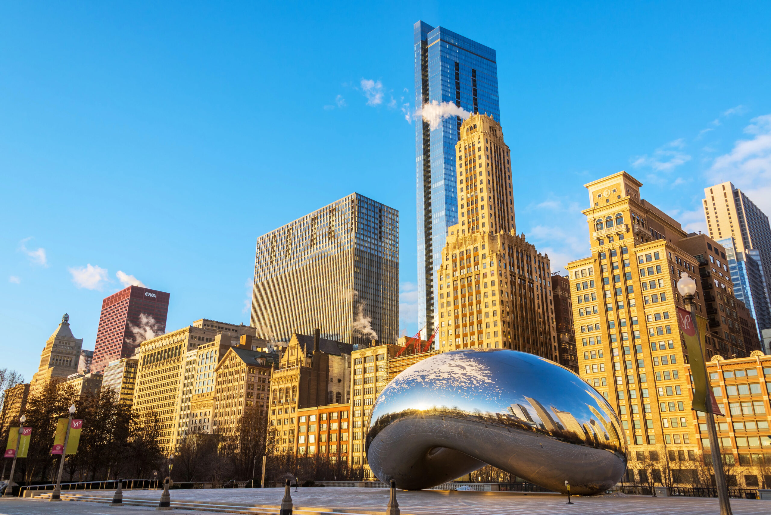 Bean 1 copy