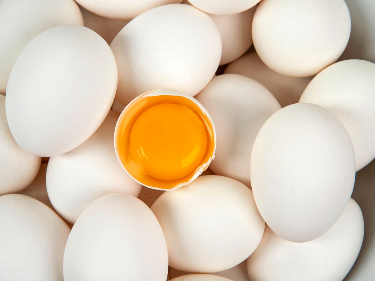 Egg Allergy interior