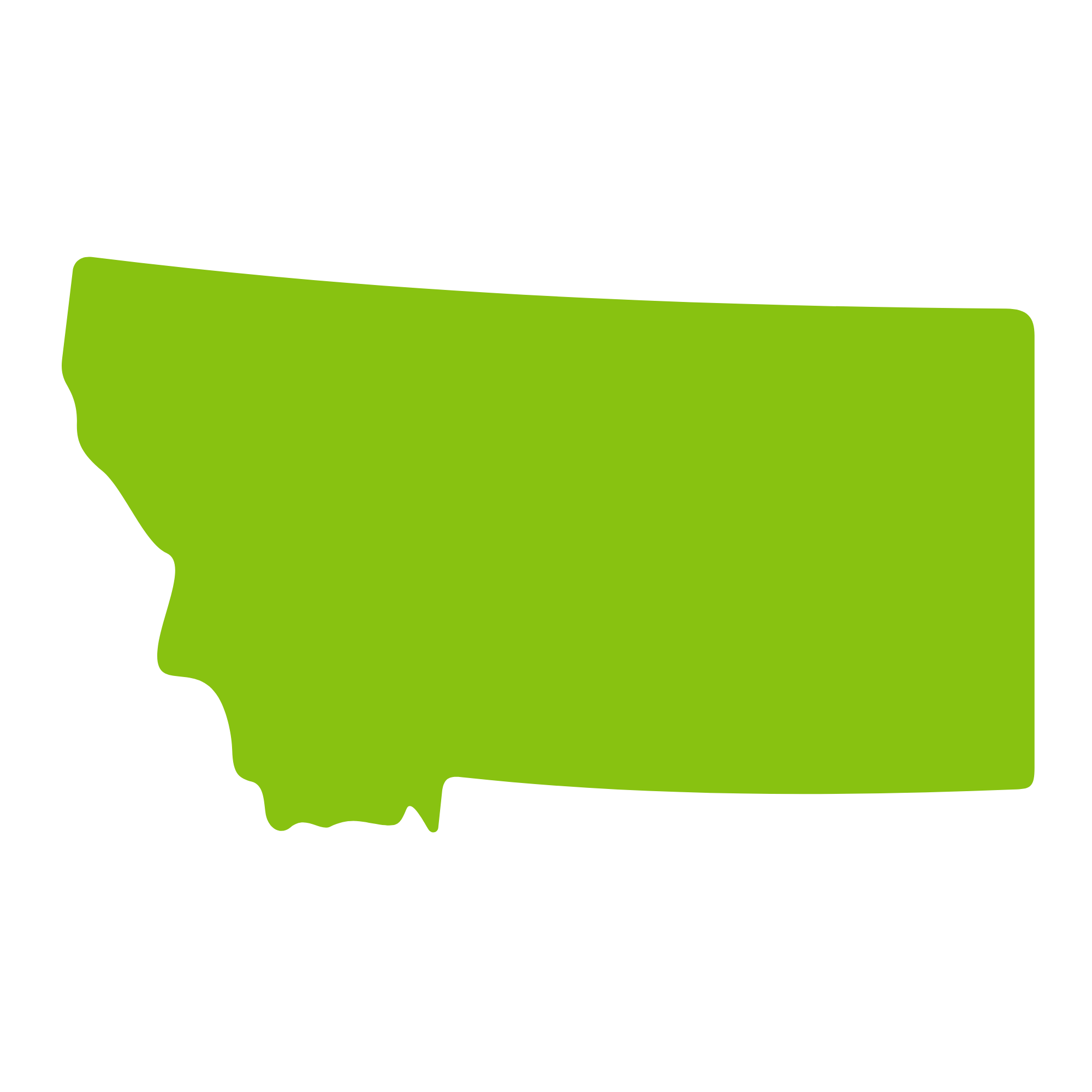 Montana Outline