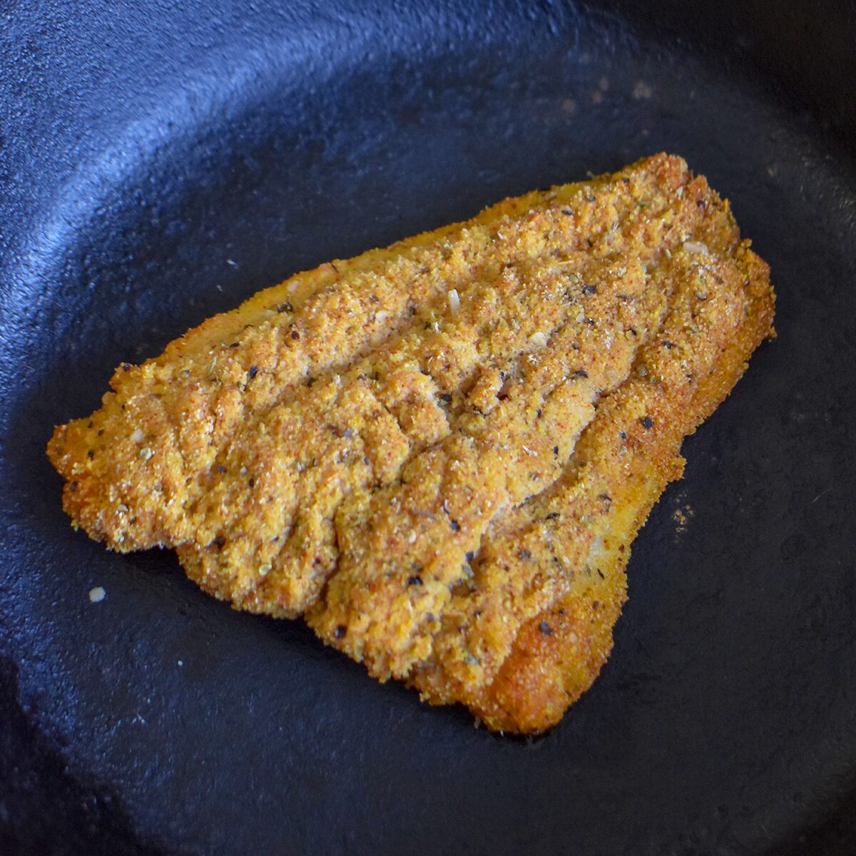 Cajun Catfish