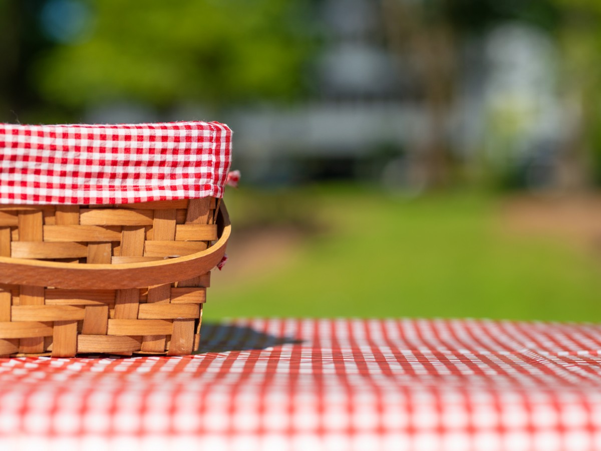 Picnic interior
