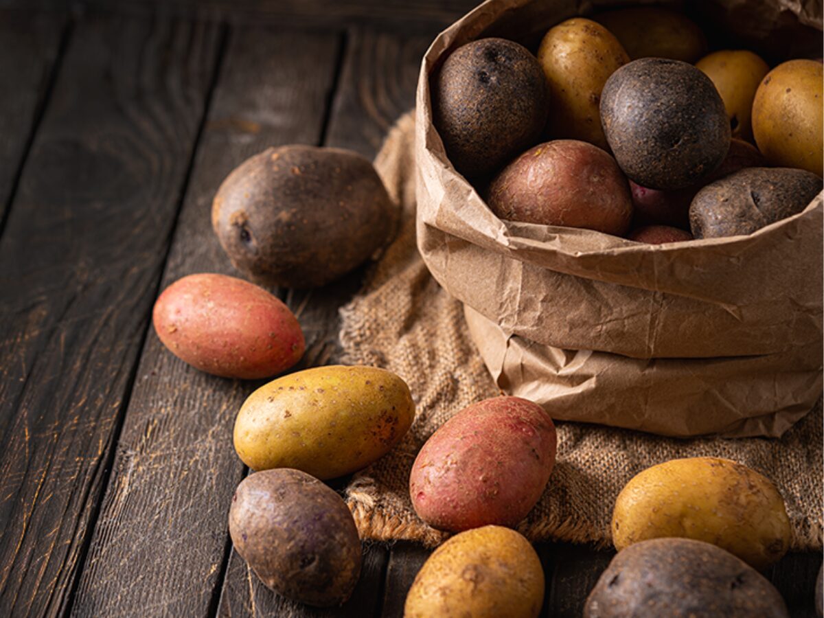 Potato Palooza Potatoes in CACFP Menus Cover Photo