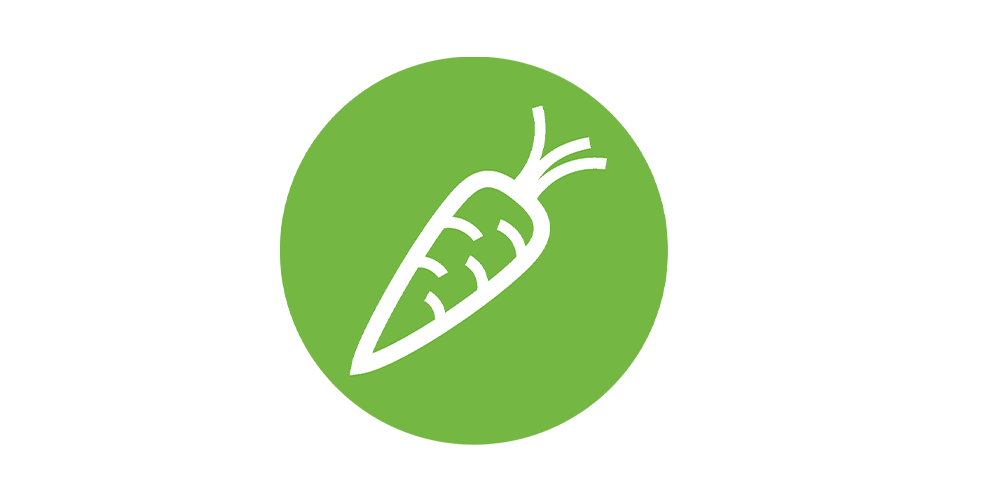 recipe component - vegetable
