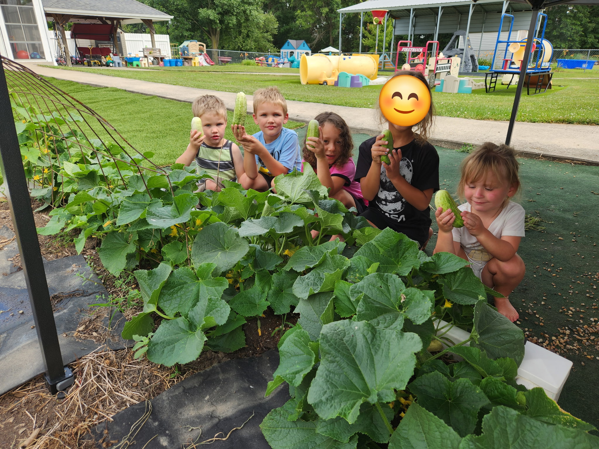 Garden fun