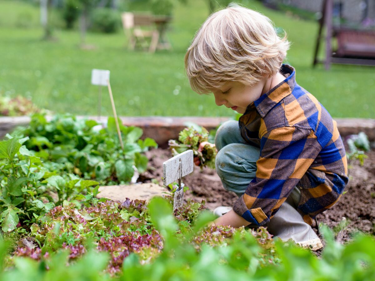 Little Sprouts, Big Lessons Farm to Early Education