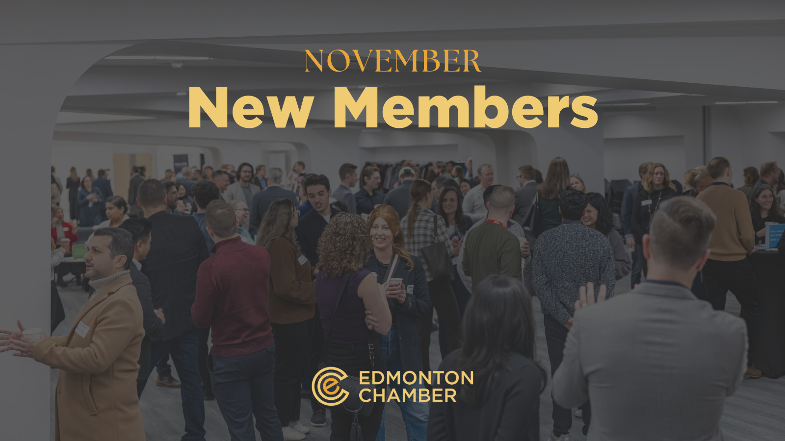 november new members