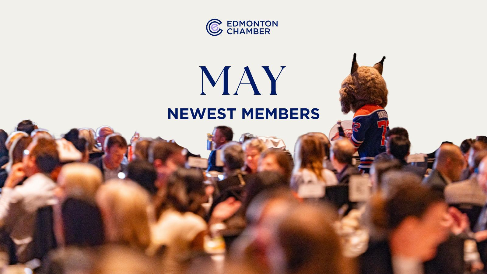 maynewmembers maynewmembers