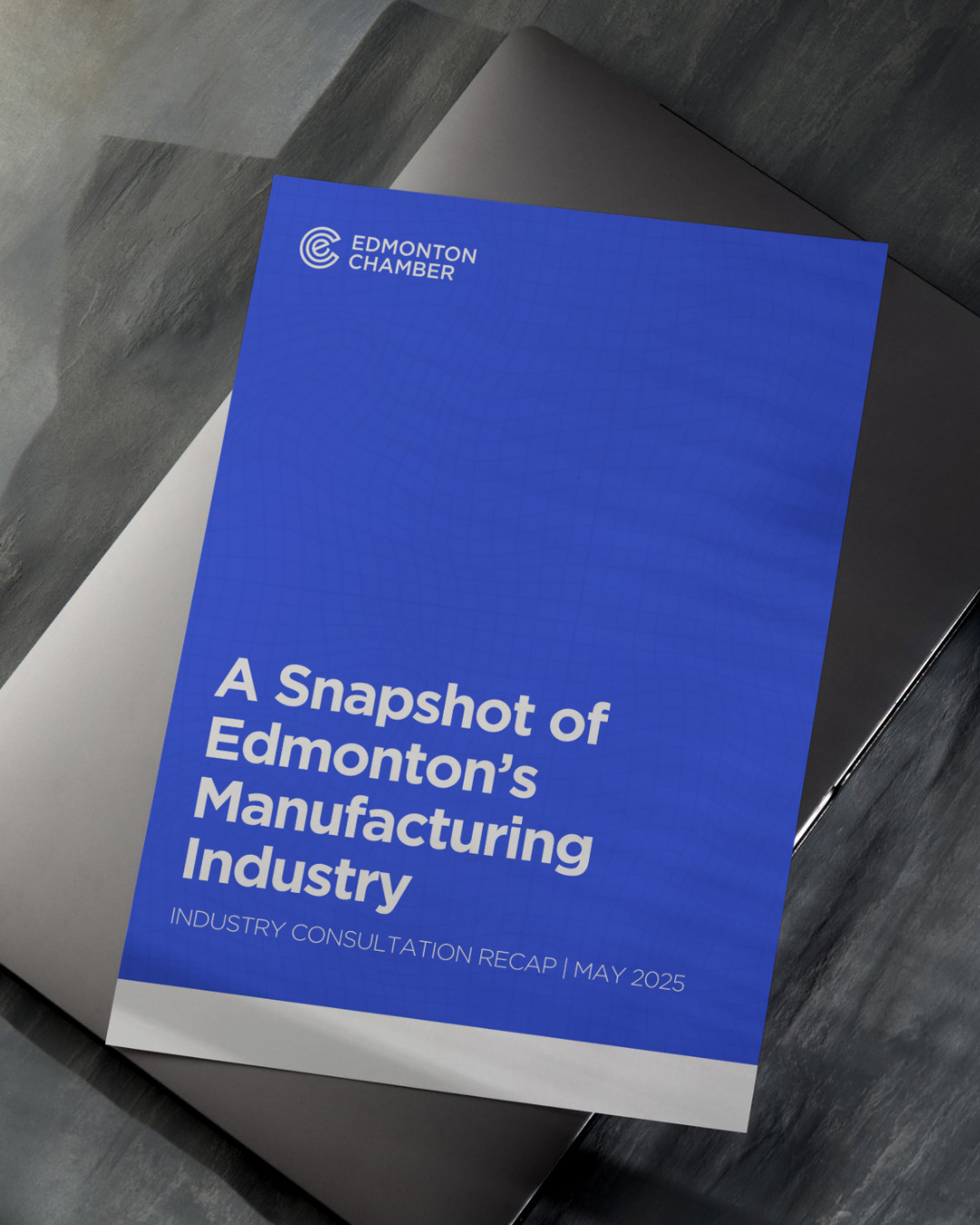 Industry Consultation - A Snapshot of Edmonton’s Manufacturing Industry - May 2025 (2)