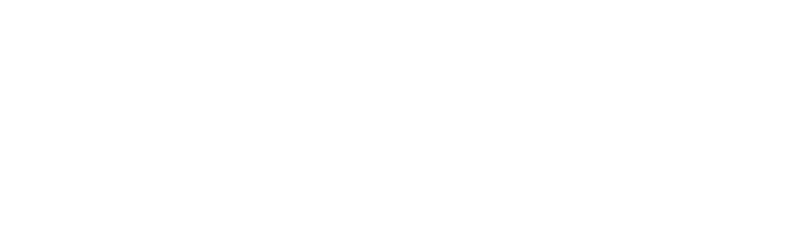 national bank logo white