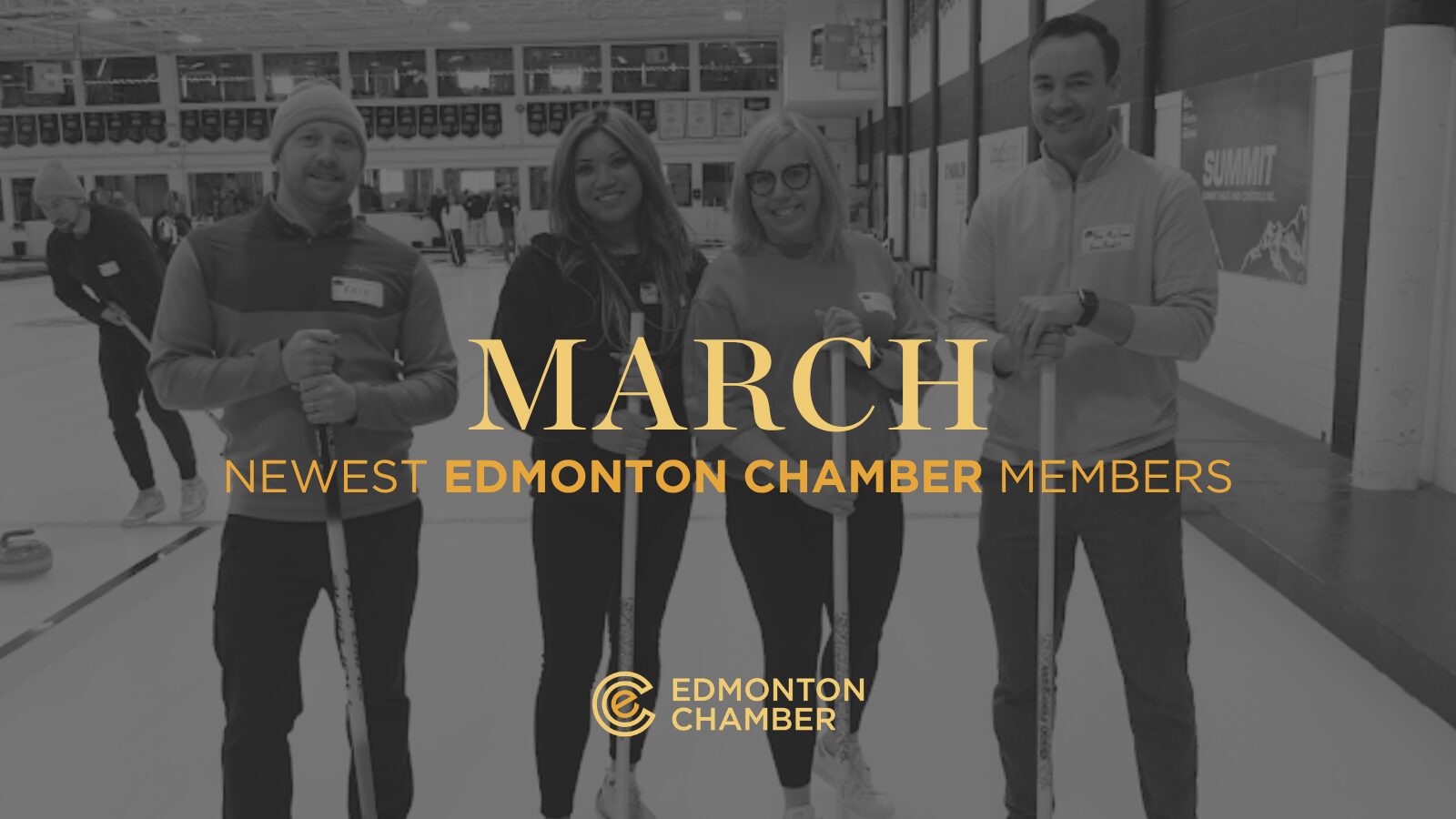 New Member Posts - MASTER