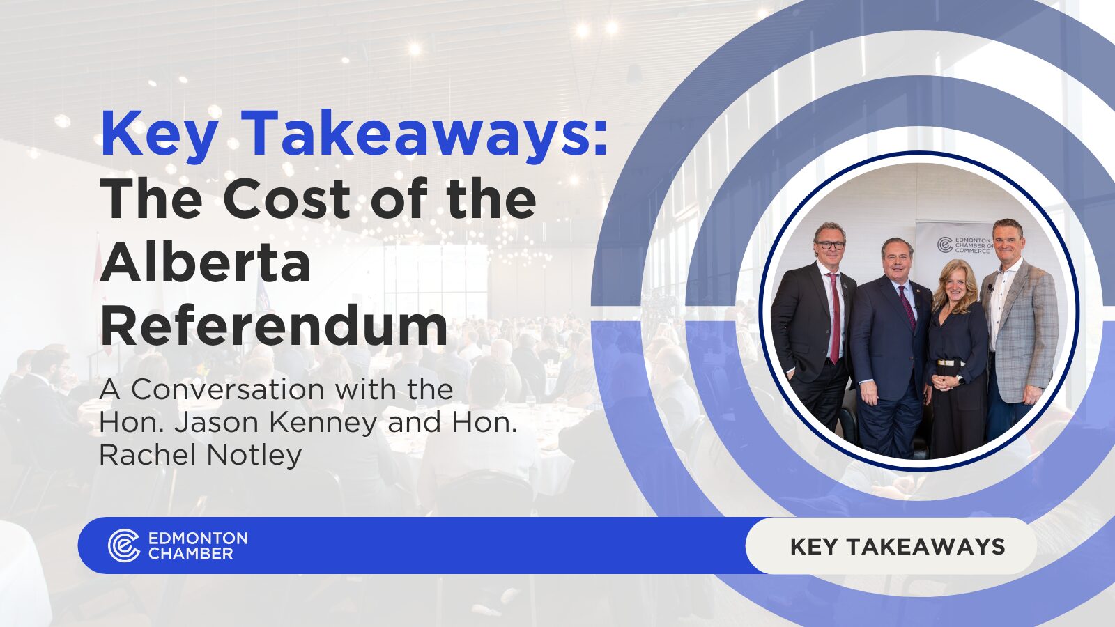 The Cost of the Referendum