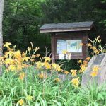 Strawberry Creek Nature Area