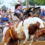 Jefferson County Rodeo